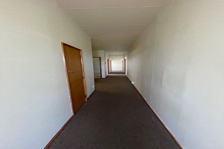 Photo of property in 239u1 Adelaide Road, Newtown, Wellington, 6021