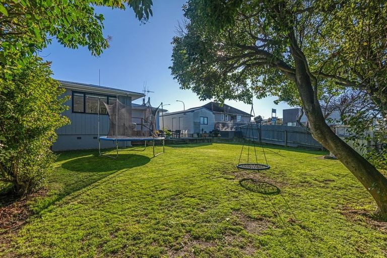 Photo of property in 38 Milton Street, Roslyn, Palmerston North, 4414