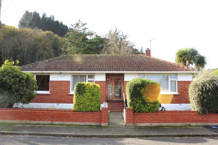 Photo of property in 12 Tannadice Street, Normanby, Dunedin, 9010