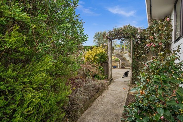 Photo of property in 62 Campbell Avenue, Paraparaumu, 5032