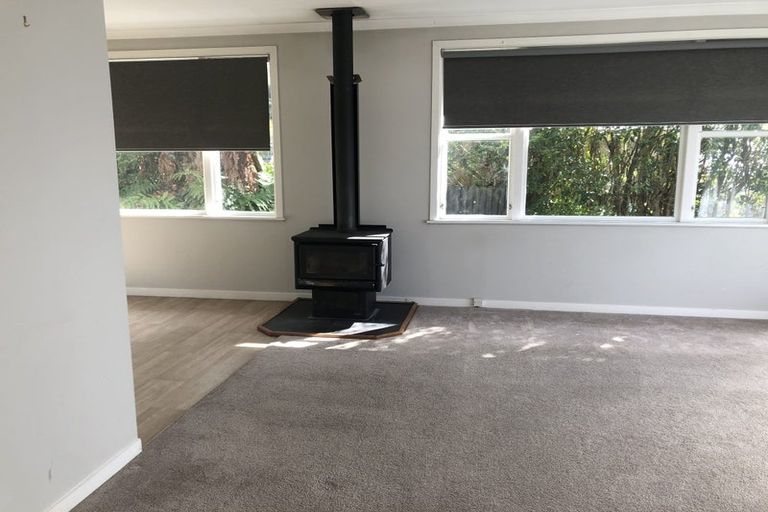 Photo of property in 60 Wakeman Street, Pahiatua, 4910