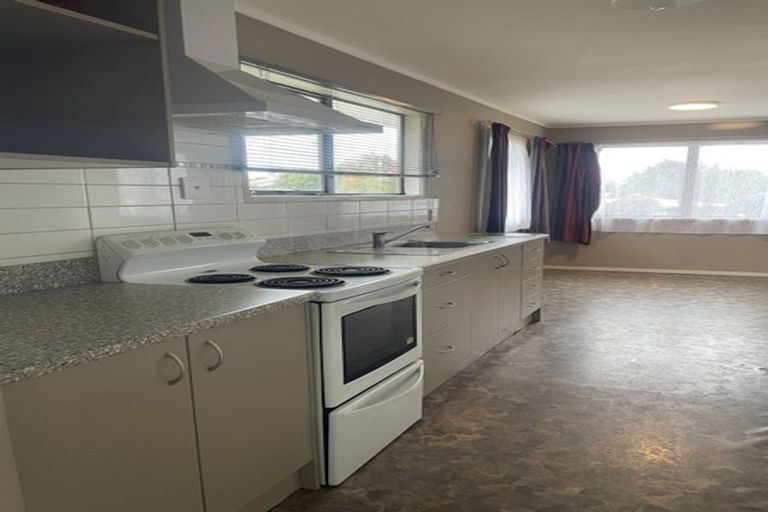 Photo of property in 69 Arapuni Street, Putaruru, 3411