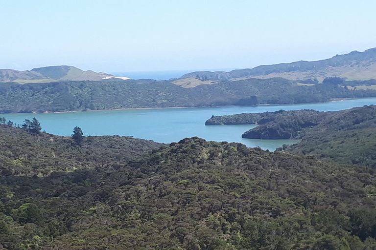 Photo of property in 425 Pakawau-bush Road, Pakawau, Collingwood, 7073
