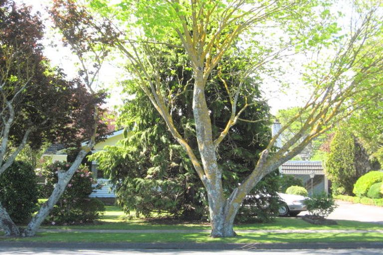 Photo of property in 180 Rutene Road, Kaiti, Gisborne, 4010