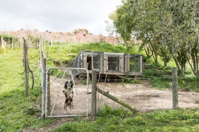 Photo of property in 164 Rotohiwi Road, Flemington, Waipukurau, 4282