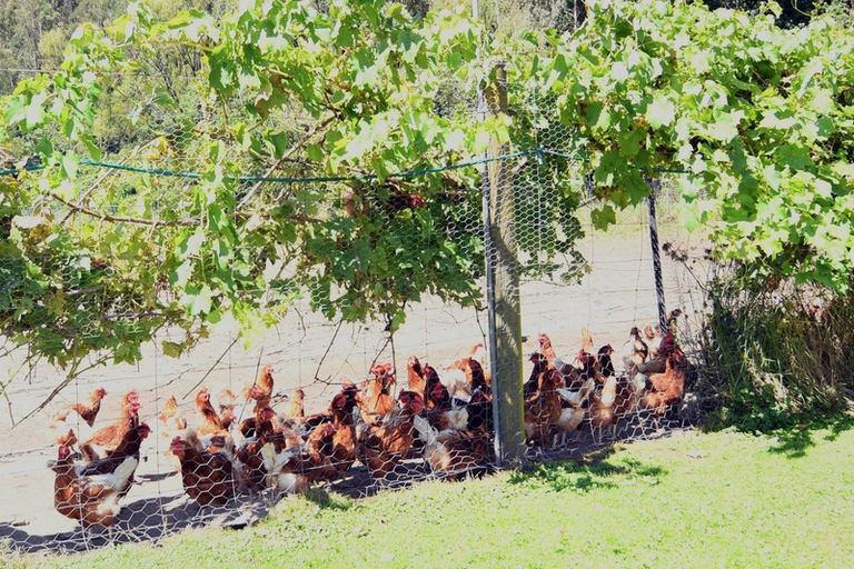 Photo of property in 275 Riwaka Valley Road, Riwaka, Motueka, 7198