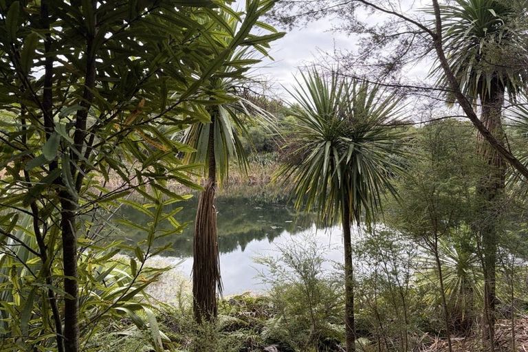 Photo of property in 17 Nga Parae Road, Oropi, Tauranga, 3173