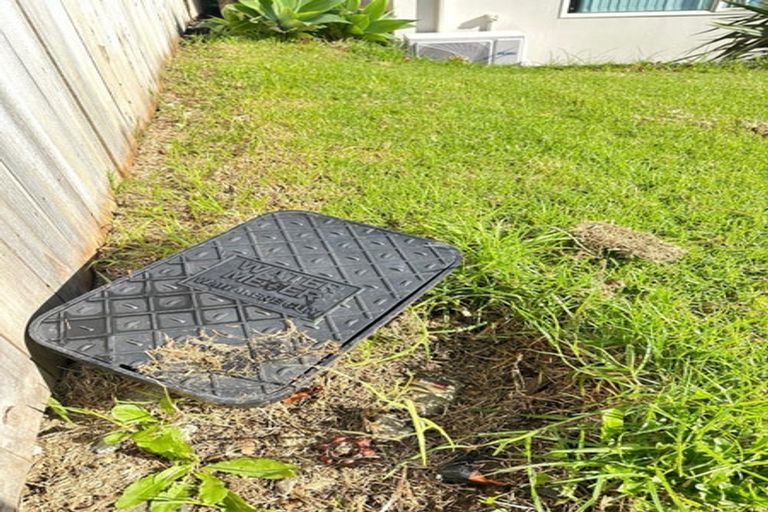 Photo of property in 60 Hewlett Road, Massey, Auckland, 0614