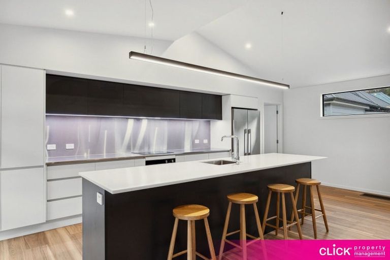 Photo of property in 19 Northumberland Street, North East Valley, Dunedin, 9010