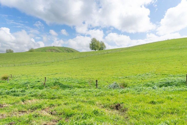 Photo of property in 437 Pinfold Road, Papatawa, 4998