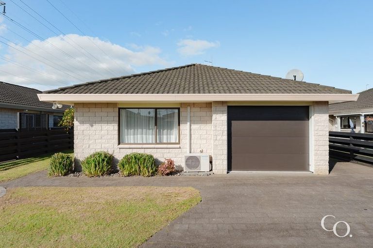 Photo of property in 38b Pooles Road, Greerton, Tauranga, 3112