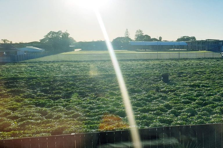 Photo of property in 23/137 Hall Avenue, Favona, Auckland, 2024