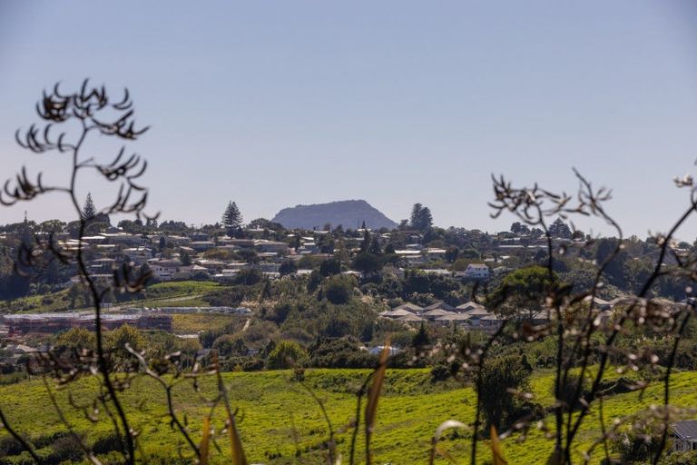 Photo of property in 20 Hallmark Rise, Bethlehem, Tauranga, 3110