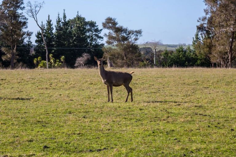 Photo of property in 707 Norfolk Road, Upper Plain, Carterton, 5791