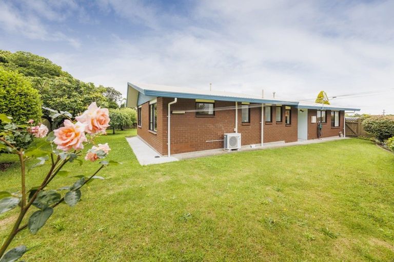 Photo of property in 6 Florence Place, Feilding, 4702