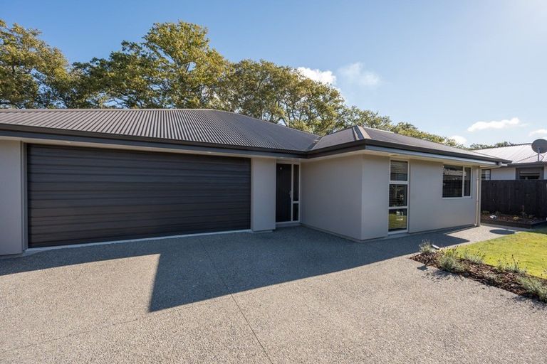 Photo of property in 53 Malone Crescent, Richmond, 7020