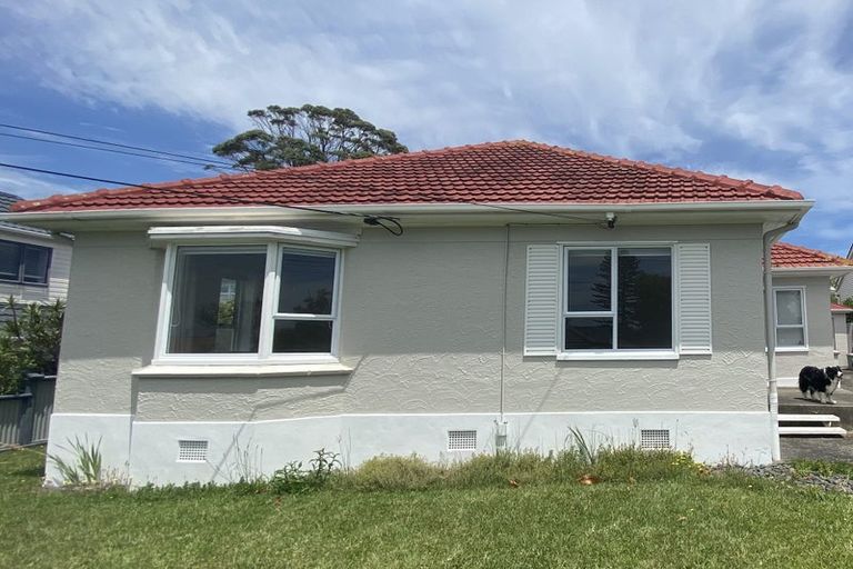 Photo of property in 22 Niccol Avenue, Narrow Neck, Auckland, 0624