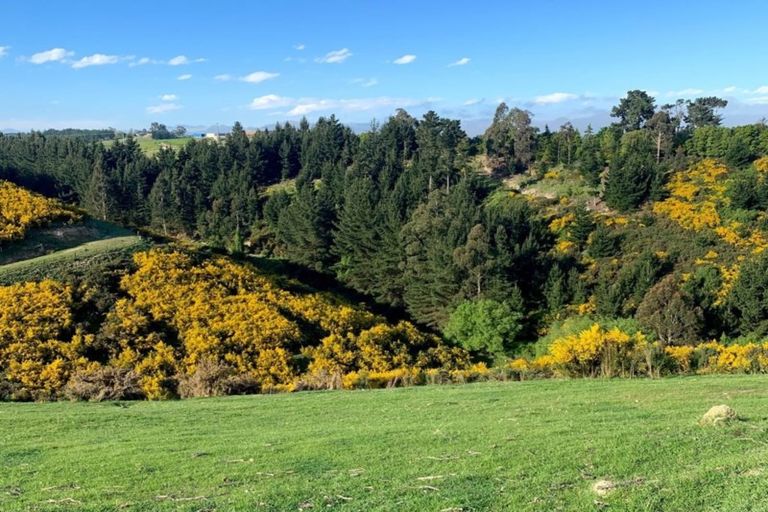 Photo of property in 153b Reservoir Road, Oamaru North, Oamaru, 9492