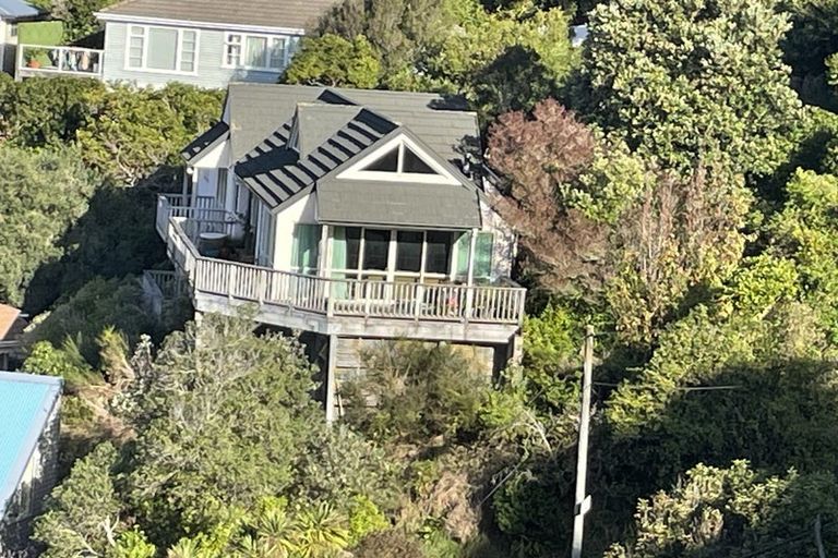 Photo of property in 51 Hornsey Road, Melrose, Wellington, 6023