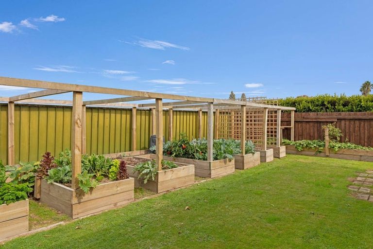 Photo of property in 163 College Road, Edgecumbe, 3120