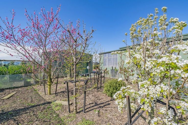 Photo of property in 56 Verdeco Boulevard, Lincoln, 7608