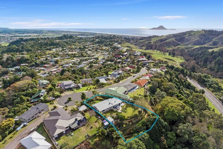 Photo of property in 51 Melville Drive, Whakatane, 3120