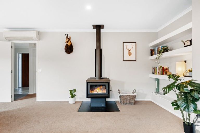 Photo of property in 30 Waenga Drive, Cromwell, 9310