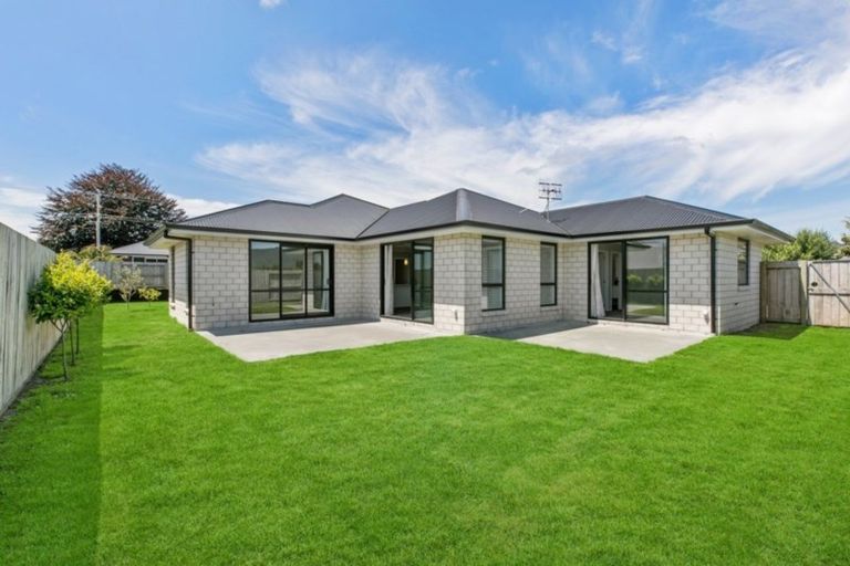 Photo of property in 8c No 2 Road, Te Puke, 3119