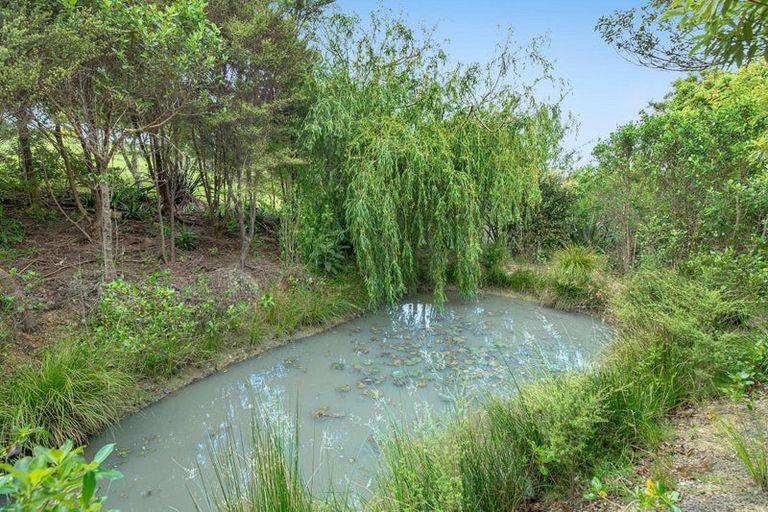 Photo of property in 69a Pipitiwai Drive, Helensville, Kaukapakapa, 0871