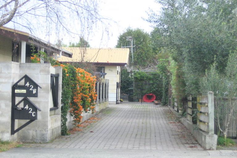 Photo of property in 42c Auckland Road, Greenmeadows, Napier, 4112