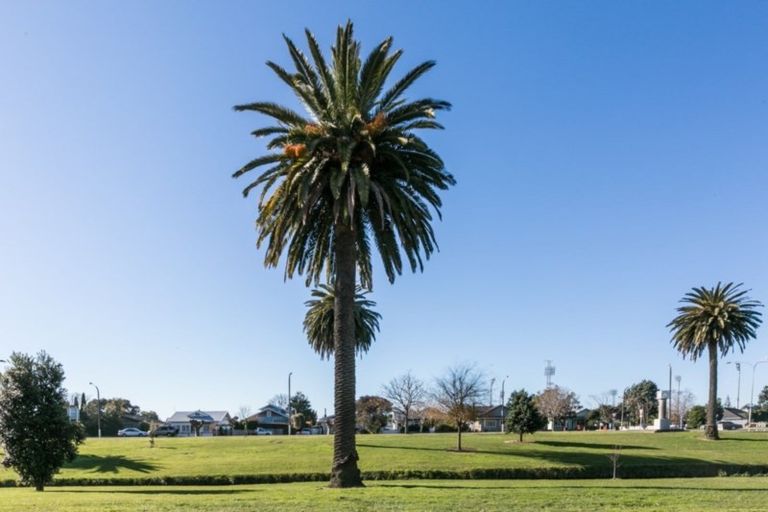 Photo of property in 3/47 Douglas Mclean Avenue, Marewa, Napier, 4110