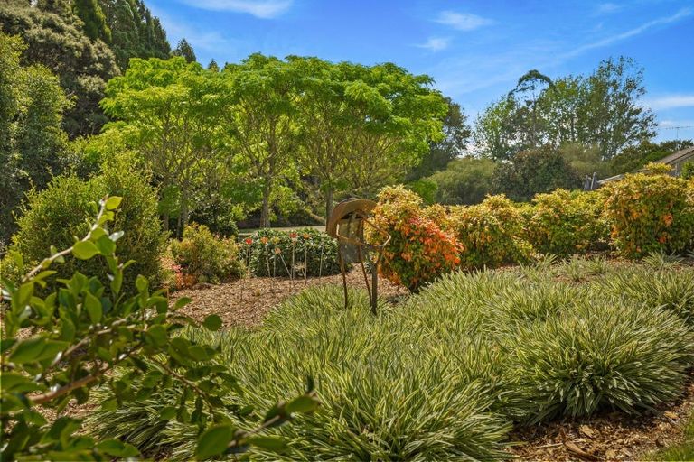 Photo of property in 10 Waimaa Lane, Pokeno, 2402