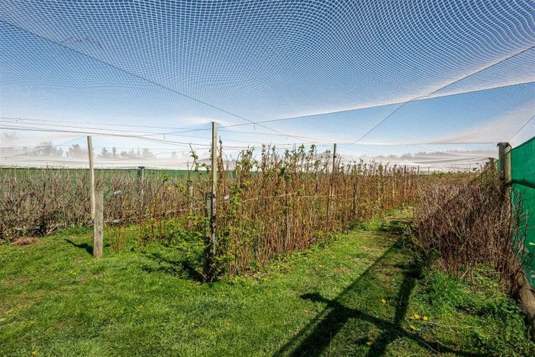 Photo of property in 125 Hodgsons Road, Loburn, Rangiora, 7472