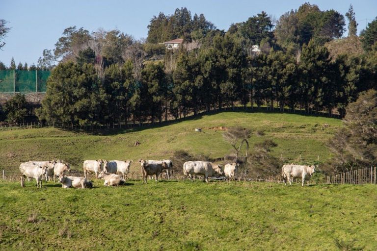Photo of property in 231 Walford Road, Aongatete, Katikati, 3181