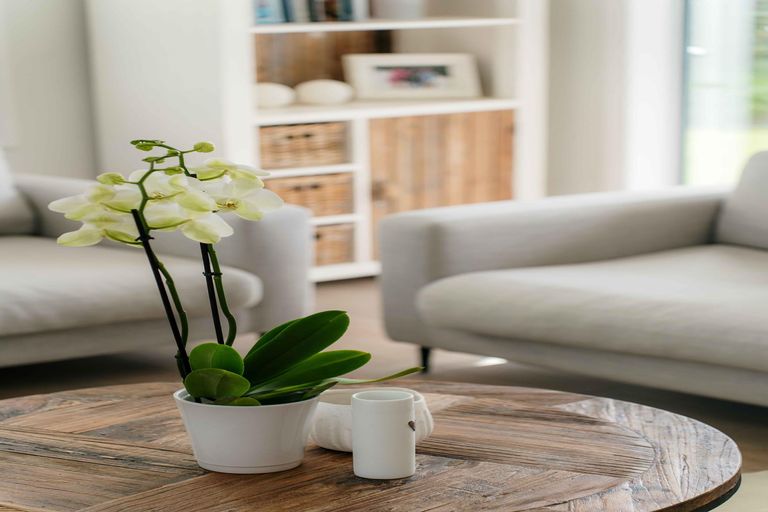 Photo of property in 19 Hinau Road, Karaka, Papakura, 2113