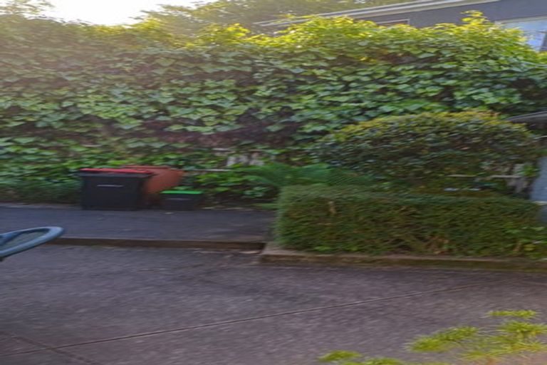 Photo of property in 663 George Street, North Dunedin, Dunedin, 9016