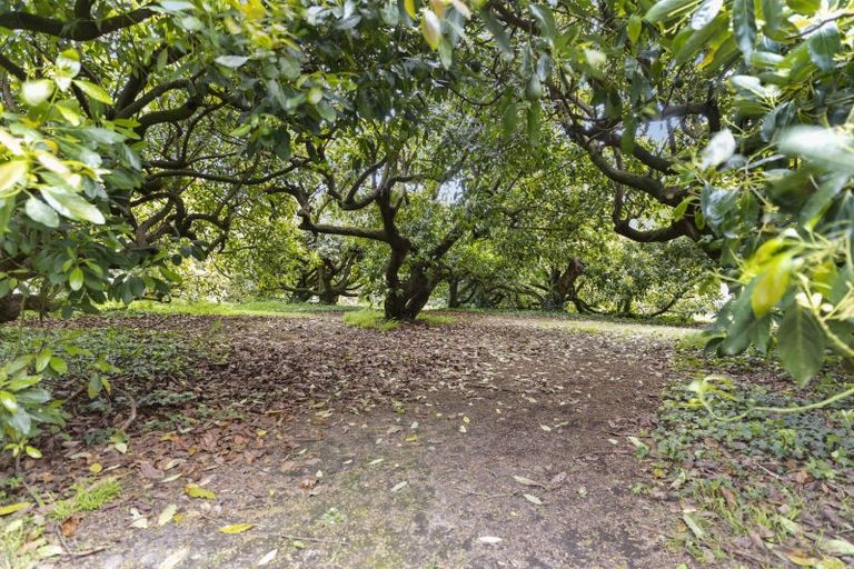 Photo of property in 348 Manoeka Road, Te Puke, 3183