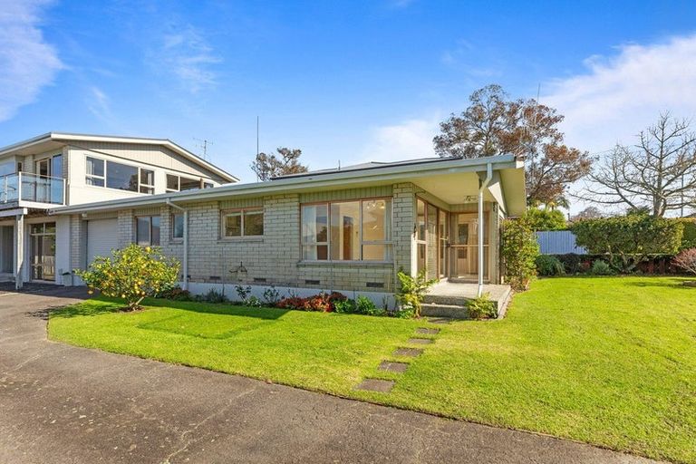 Photo of property in 45a Hinewa Road, Otumoetai, Tauranga, 3110