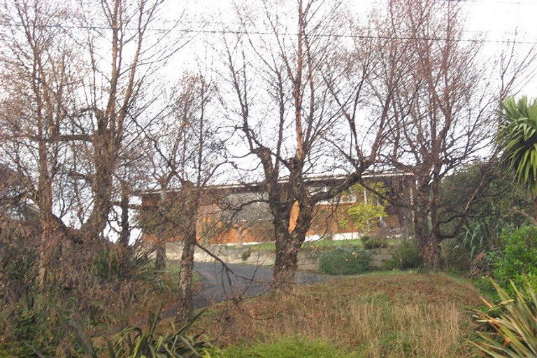 Photo of property in 119 Barr Street, Kenmure, Dunedin, 9011