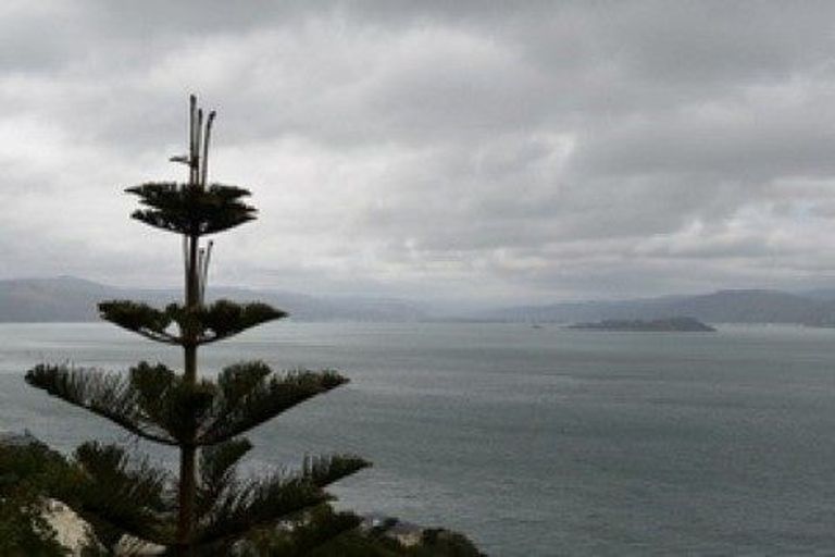 Photo of property in 100b Grafton Road, Thames, 3500