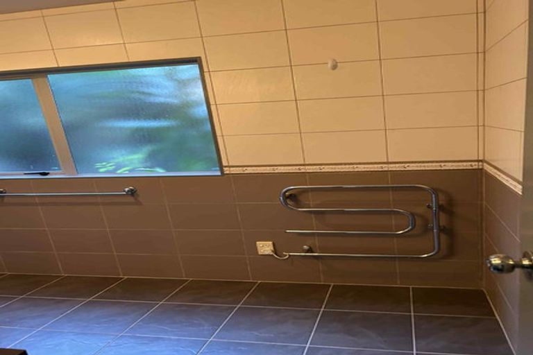 Photo of property in 14 Bush View Lane, Northcote Point, Auckland, 0627