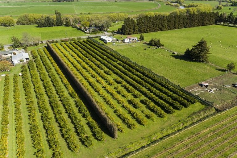 Photo of property in 1286 Matawai Road, Ormond, Gisborne, 4071