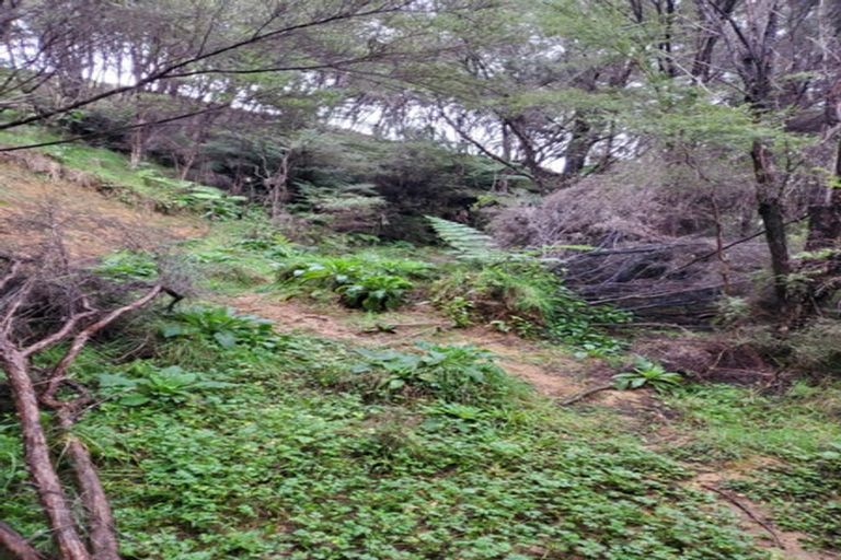 Photo of property in 482 Krippner Road, Puhoi, Warkworth, 0994