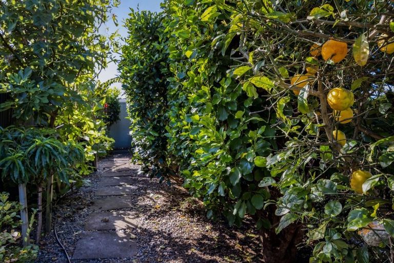 Photo of property in 19 Mccarthy Street, Hawera, 4610