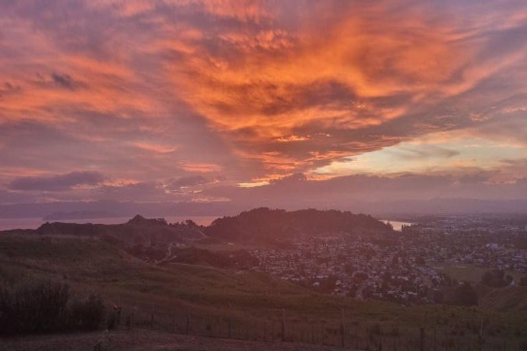 Photo of property in 225 Wheatstone Road, Wainui, Gisborne, 4073