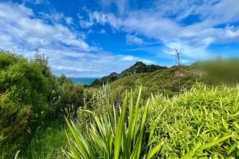 Photo of property in 761h State Highway 2 West, Pikowai, Matata, 3194