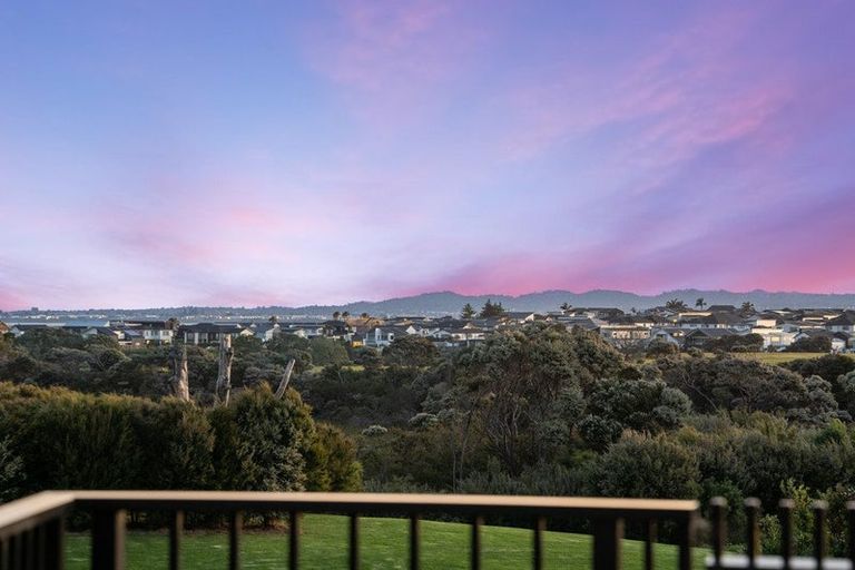 Photo of property in 22 Catalina Drive, Hobsonville, Auckland, 0616