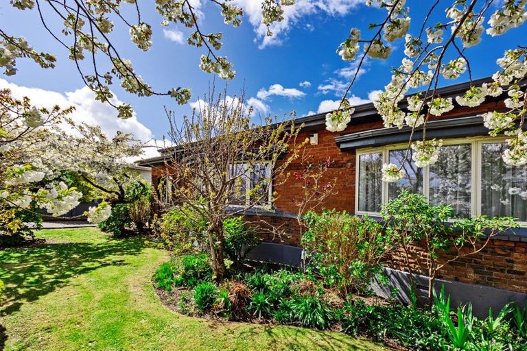 Photo of property in 58 Wellington Street, Georgetown, Invercargill, 9812