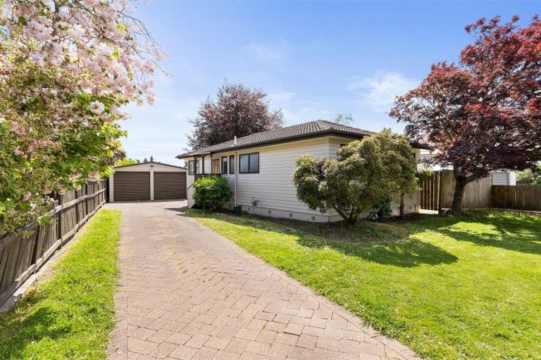 Photo of property in 51 Gilbass Avenue, Hamilton Lake, Hamilton, 3204