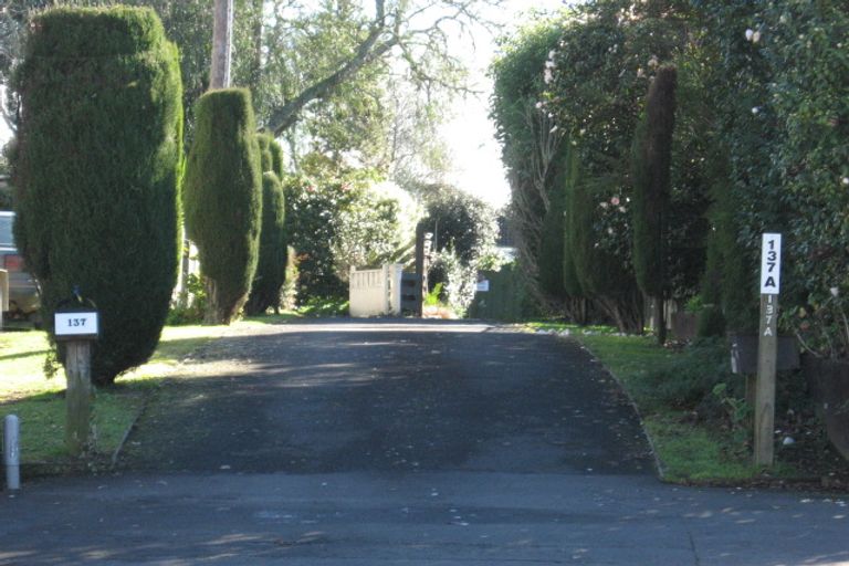 Photo of property in 137 Boundary Road, Claudelands, Hamilton, 3214